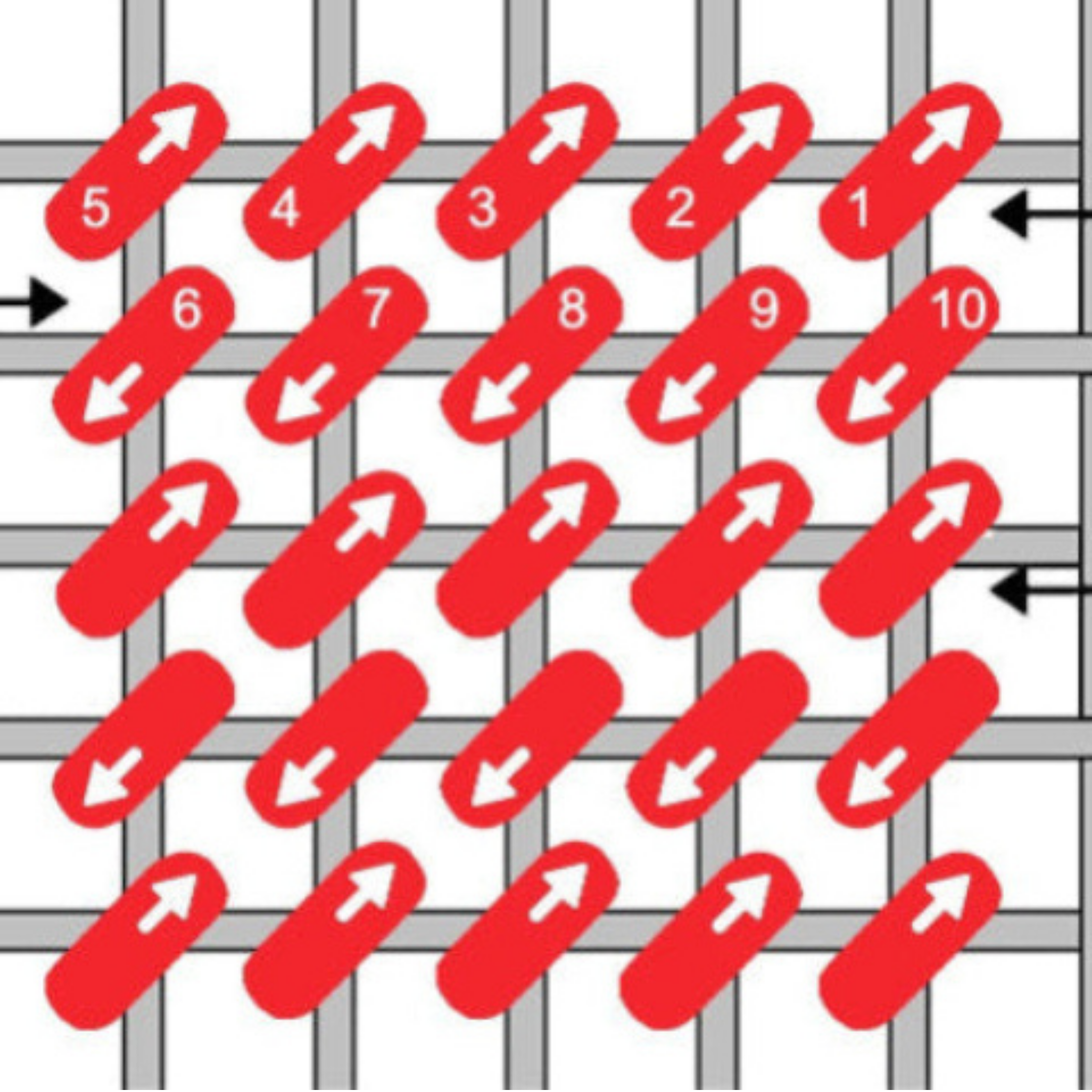 needlepoint stitch Grid with red arrows and numbers on a white background