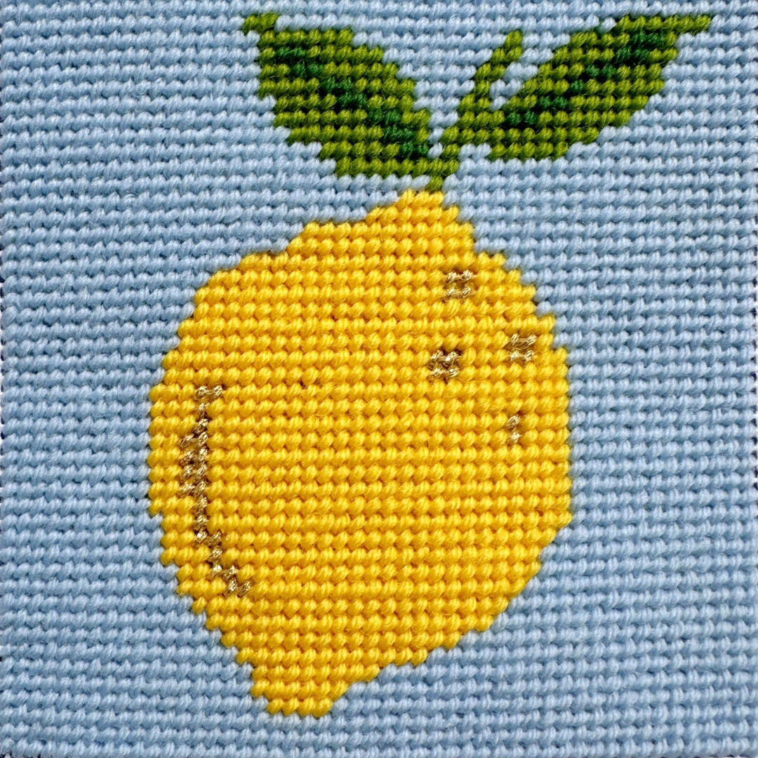 Lemon needlepoint starter kit for beginners.