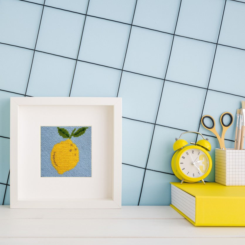 Lemon needlepoint starter kit for beginners.