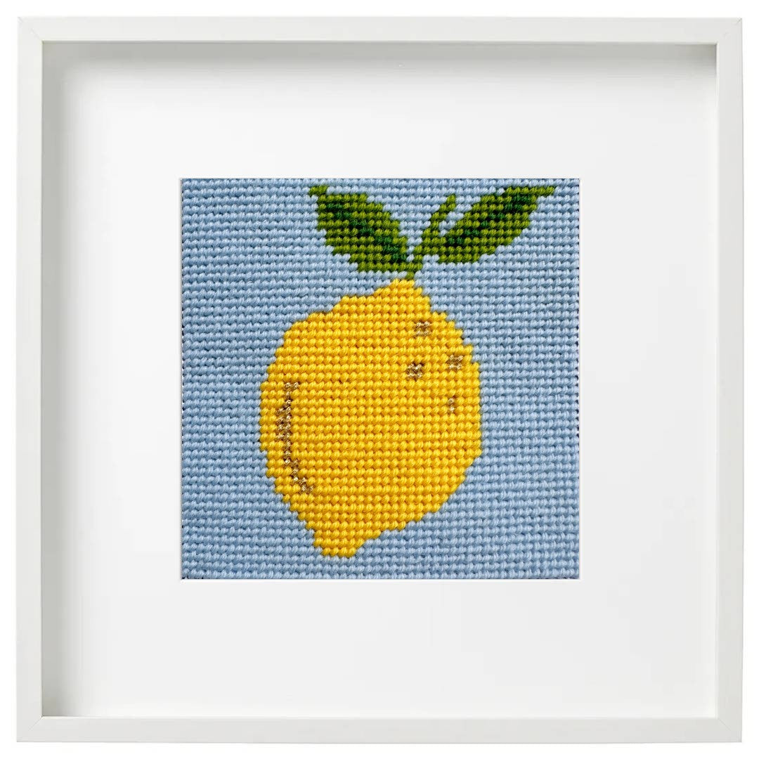 Lemon needlepoint starter kit for beginners.