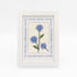The Cornflower kit stitched and in a white frame with a mat with a decorative blue watercolor bamboo border.