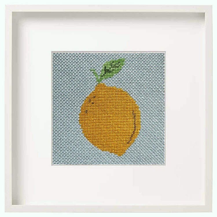 Stamped Cross Stitch Kits for Adults Beginner Counted -bee Orange