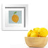 Lemon beginner needlepoint kit shown framed