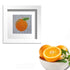 Orange needlepoint kit for adult beginners