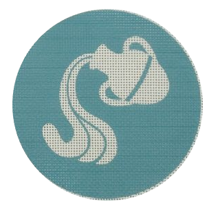 Zodiac Aquarius Needlepoint Canvas + Optional Thread Pack