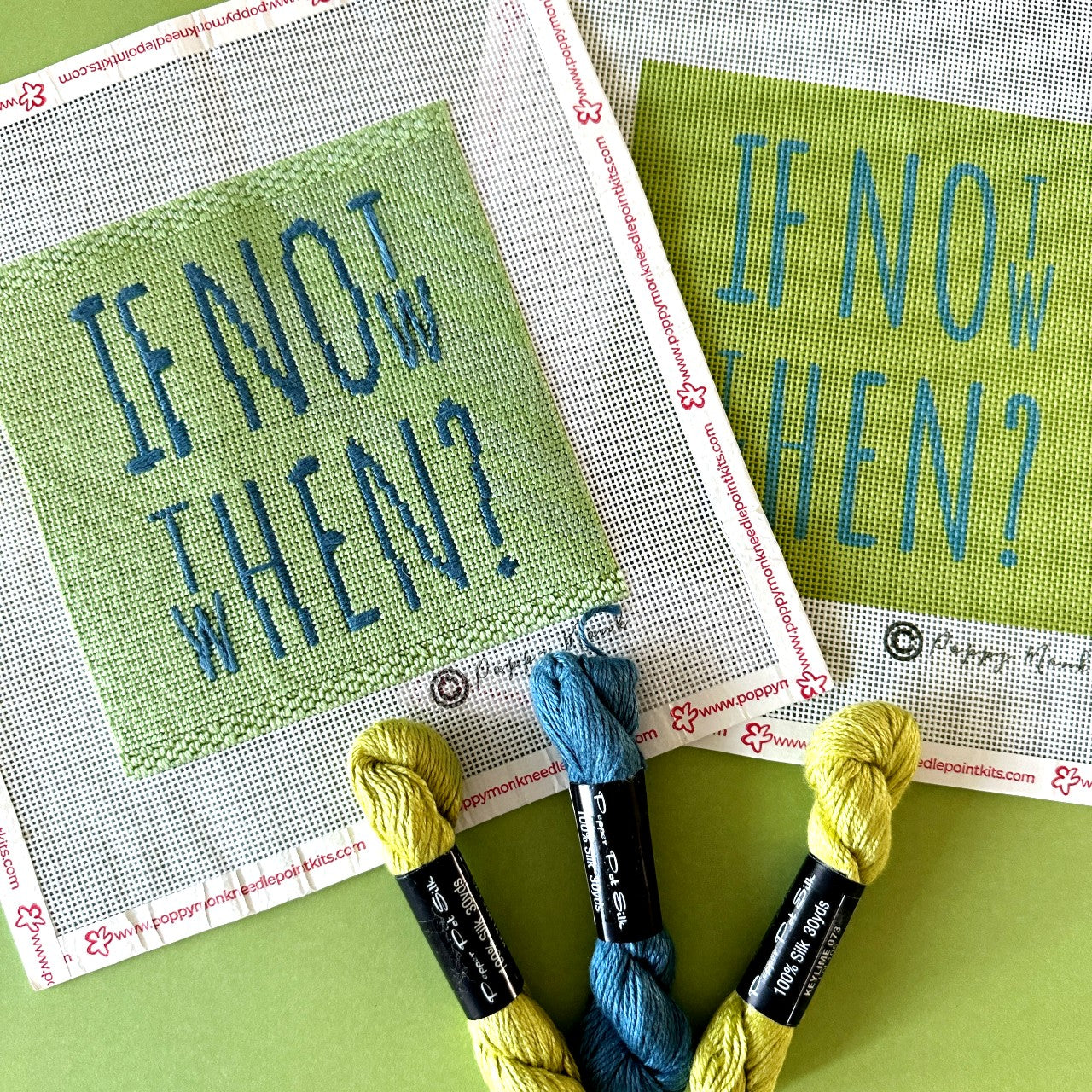 If Not Now Then When needlepoint kit.
