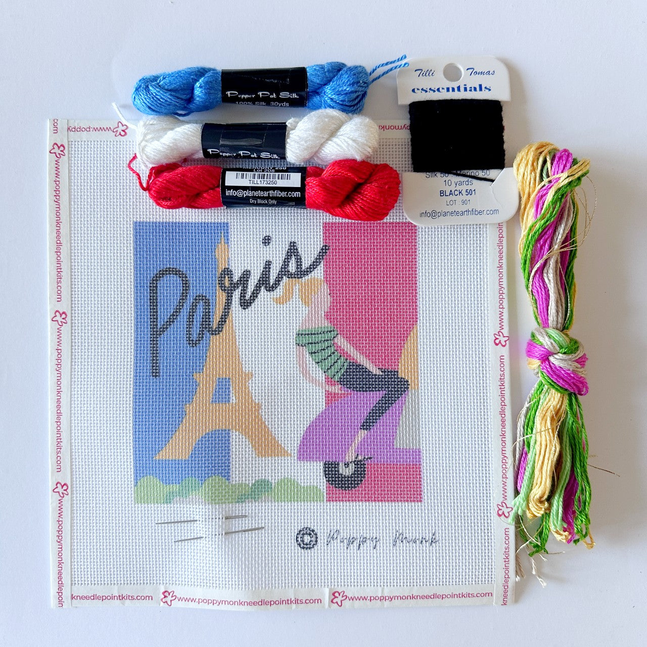 Paris needlepoint kit with silk threads.